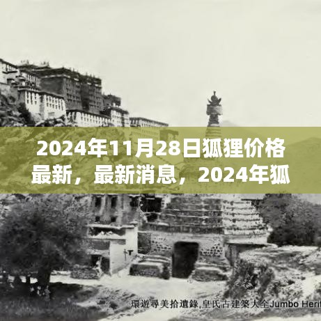 2024年狐狸价格最新走势分析与预测，以11月28日为界