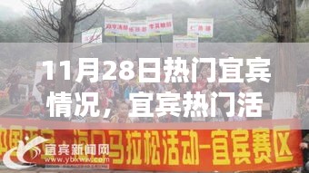 宜宾热门活动全攻略，参与指南与最新动态（11月28日）