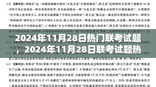 2024年11月28日联考试题热点解析与备考策略