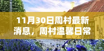 11月30日周村最新消息，周村温馨日常，11月30日的惊喜与感动