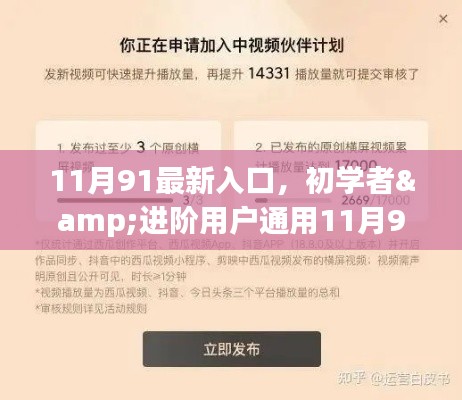 11月91最新入口任务详解，初学者与进阶用户通用完成步骤