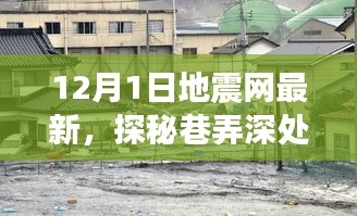 探秘巷弄深处独特风味秘境，地震网最新更新下的神秘小店