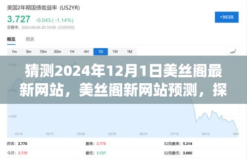 美丝阁新网站预测，未来技术发展与合规性挑战展望（2024年12月版）