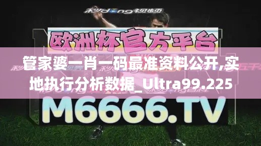 管家婆一肖一码最准资料公开,实地执行分析数据_Ultra99.225