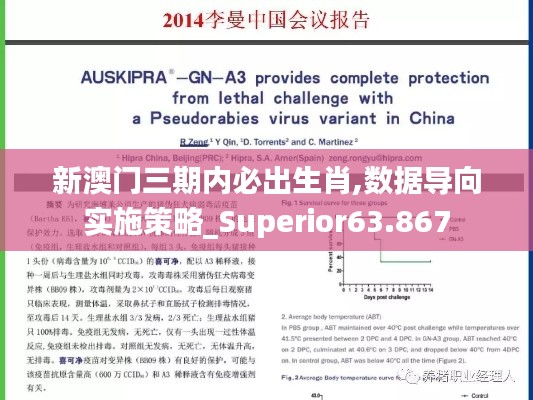 新澳门三期内必出生肖,数据导向实施策略_Superior63.867