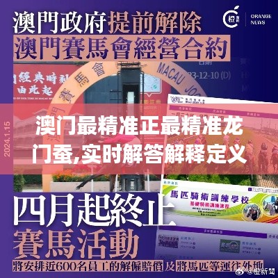 澳门最精准正最精准龙门蚕,实时解答解释定义_AP86.546