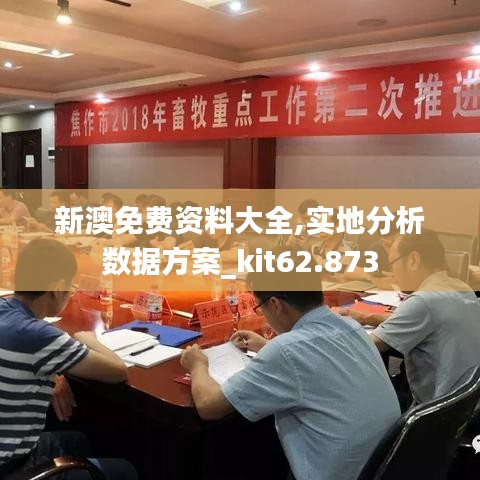 新澳免费资料大全,实地分析数据方案_kit62.873