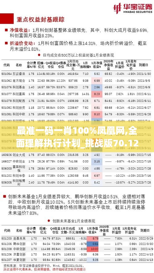 最准一码一肖100%凤凰网,全面理解执行计划_挑战版70.128