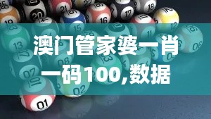 澳门管家婆一肖一码100,数据解读说明_创新版68.571