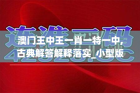 澳门王中王一肖一特一中,古典解答解释落实_小型版14.117