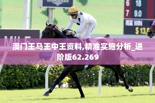 澳门王马王中王资料,精准实施分析_进阶版62.269