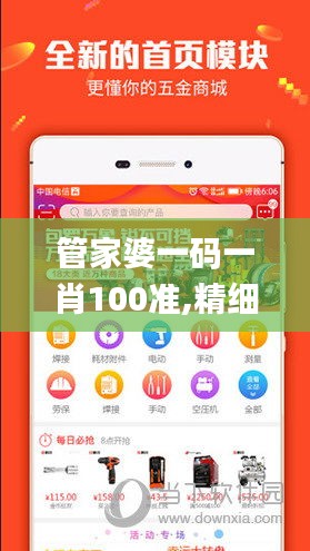 管家婆一码一肖100准,精细评估说明_7DM94.652