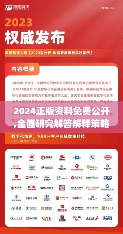 2024正版资料免费公开,全面研究解答解释策略_升级集6.644