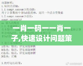 一肖一码一一肖一子,快速设计问题策略_MR48.675