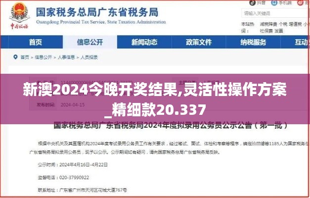 新澳2024今晚开奖结果,灵活性操作方案_精细款20.337