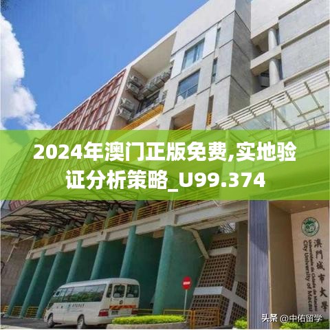 2024年澳门正版免费,实地验证分析策略_U99.374