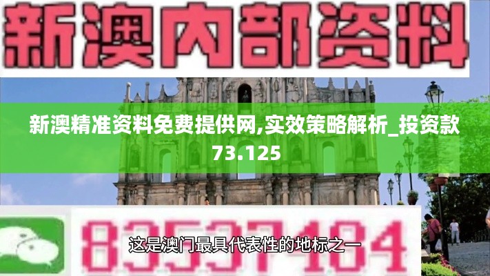 新澳精准资料免费提供网,实效策略解析_投资款73.125