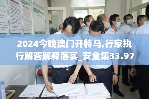 2024今晚澳门开特马,行家执行解答解释落实_安全集33.977