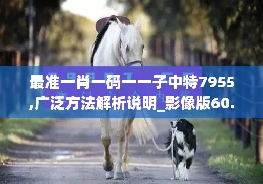最准一肖一码一一子中特7955,广泛方法解析说明_影像版60.442