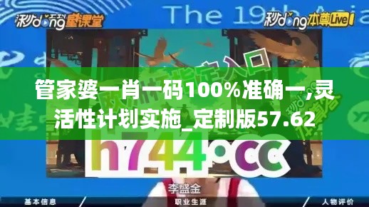 管家婆一肖一码100%准确一,灵活性计划实施_定制版57.62