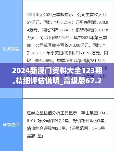 2024新澳门资料大全123期,精细评估说明_高级版67.292