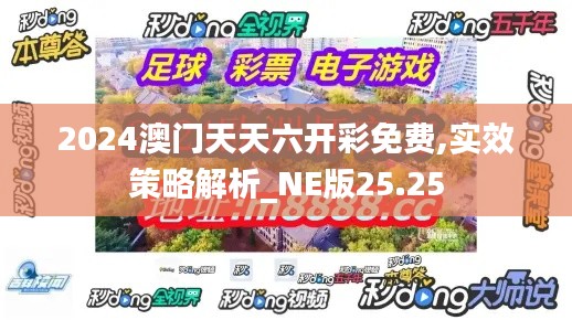 2024澳门天天六开彩免费,实效策略解析_NE版25.25