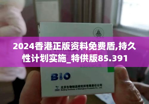 2024香港正版资料免费盾,持久性计划实施_特供版85.391