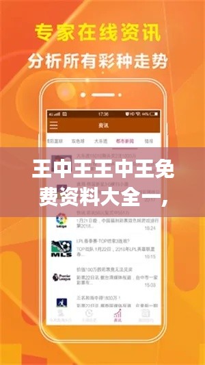 王中王王中王免费资料大全一,传统解答解释落实_领航款70.93