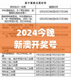 2024今晚新澳开奖号码,实效性方案解析_方案型46.316