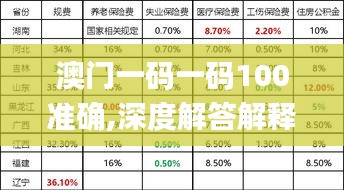 澳门一码一码100准确,深度解答解释定义_VIP15.226