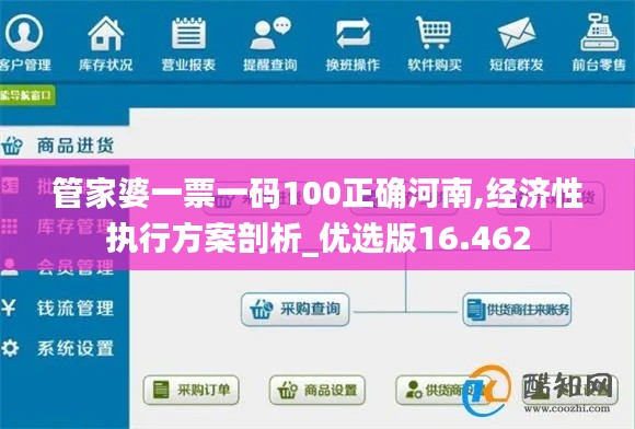 管家婆一票一码100正确河南,经济性执行方案剖析_优选版16.462