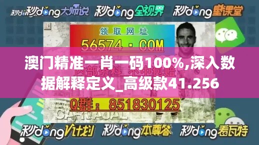 澳门精准一肖一码100%,深入数据解释定义_高级款41.256