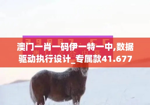 澳门一肖一码伊一特一中,数据驱动执行设计_专属款41.677
