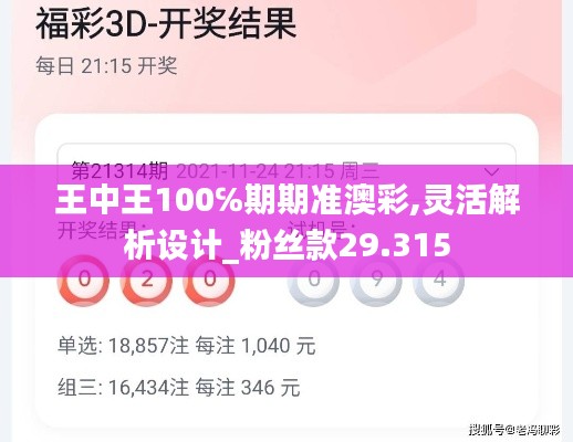 王中王100℅期期准澳彩,灵活解析设计_粉丝款29.315