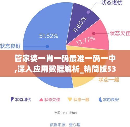 管家婆一肖一码最准一码一中,深入应用数据解析_精简版53.238