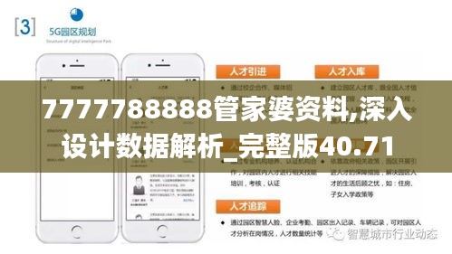 7777788888管家婆资料,深入设计数据解析_完整版40.71