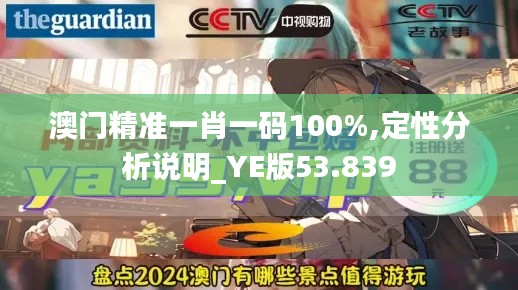 澳门精准一肖一码100%,定性分析说明_YE版53.839