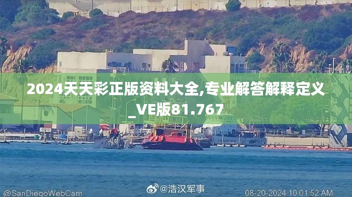 2024天天彩正版资料大全,专业解答解释定义_VE版81.767