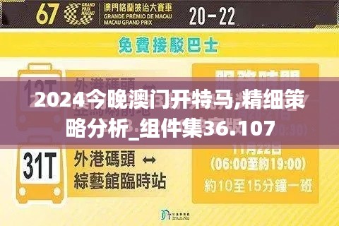 2024今晚澳门开特马,精细策略分析_组件集36.107