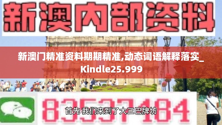 新澳门精准资料期期精准,动态词语解释落实_Kindle25.999