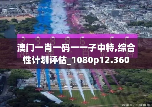 澳门一肖一码一一子中特,综合性计划评估_1080p12.360