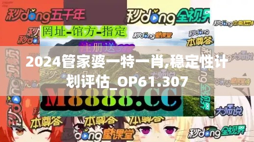 2024管家婆一特一肖,稳定性计划评估_OP61.307