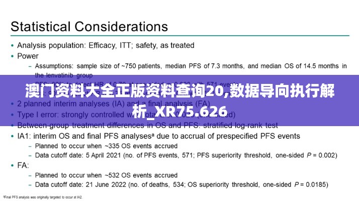 澳门资料大全正版资料查询20,数据导向执行解析_XR75.626