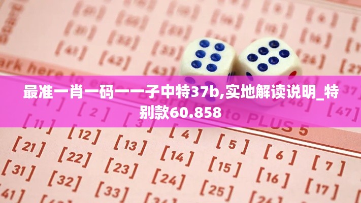 最准一肖一码一一子中特37b,实地解读说明_特别款60.858