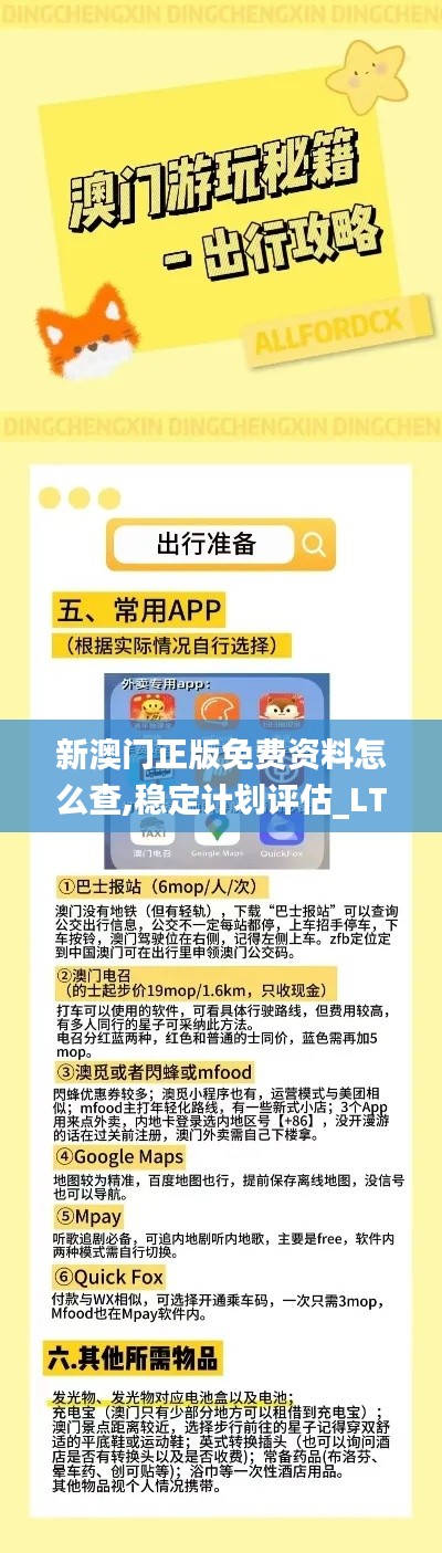 新澳门正版免费资料怎么查,稳定计划评估_LT16.162
