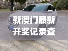 新澳门最新开奖记录查询第28期,实地分析数据应用_Chromebook91.109