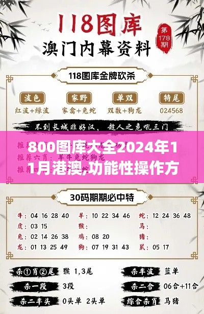 800图库大全2024年11月港澳,功能性操作方案制定_Device66.699