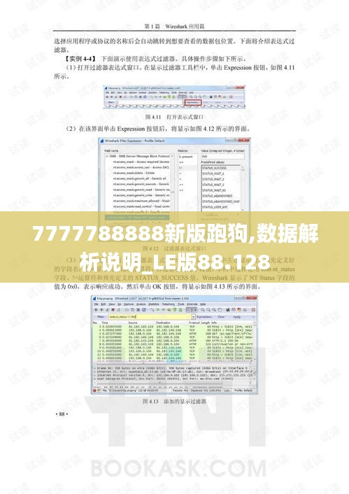 7777788888新版跑狗,数据解析说明_LE版88.128