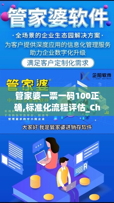 管家婆一票一码100正确,标准化流程评估_ChromeOS92.371