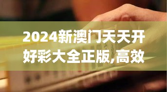 2024新澳门天天开好彩大全正版,高效工具解析落实_标准版77.613